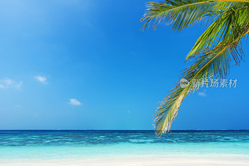 热带海滩自然背景