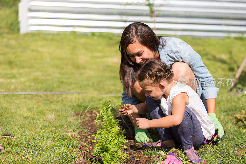 母亲和女儿一起在户外园艺和种植