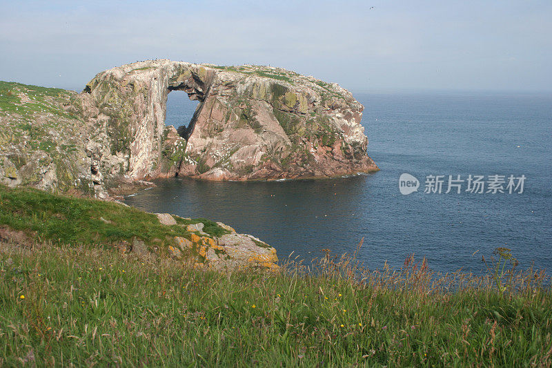 敦湾岩，阿伯丁郡，苏格兰