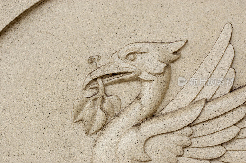 肝鸟——利物浦的象征