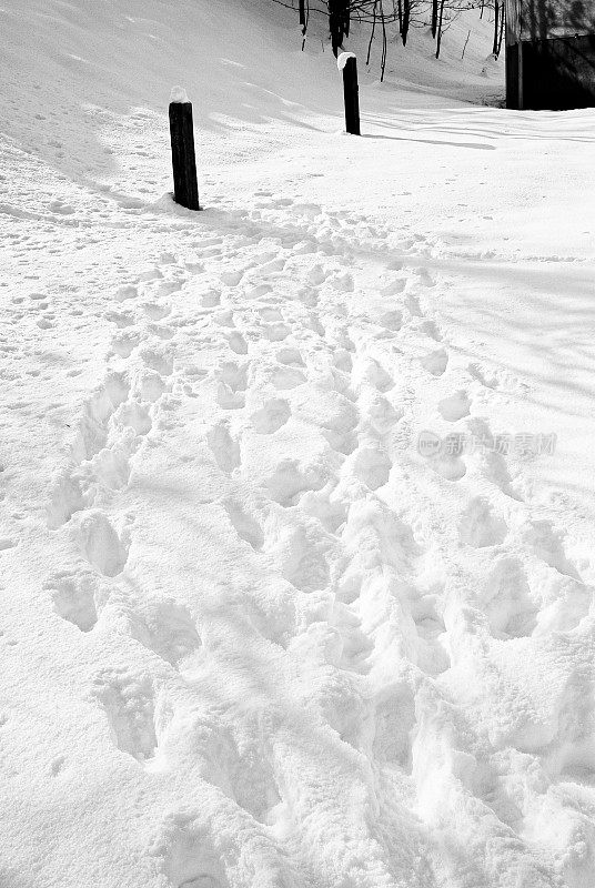 雪地里的脚步声。黑色和白色