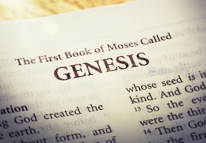 圣经起源:创世纪