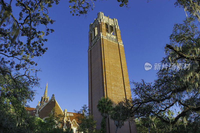 佛罗里达大学