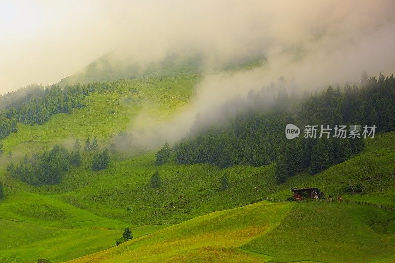 壮丽的齐勒塔尔黎明，薄雾蒂罗尔雪山全景和田园诗般的蒂罗尔山谷草地，奥地利