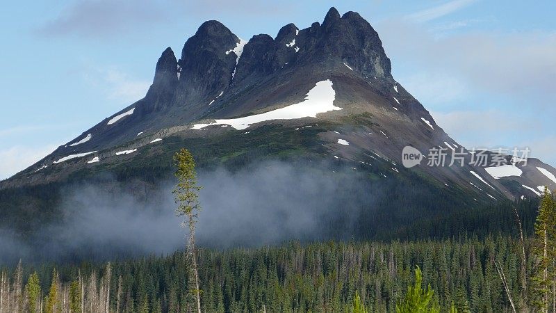 火山周围是森林