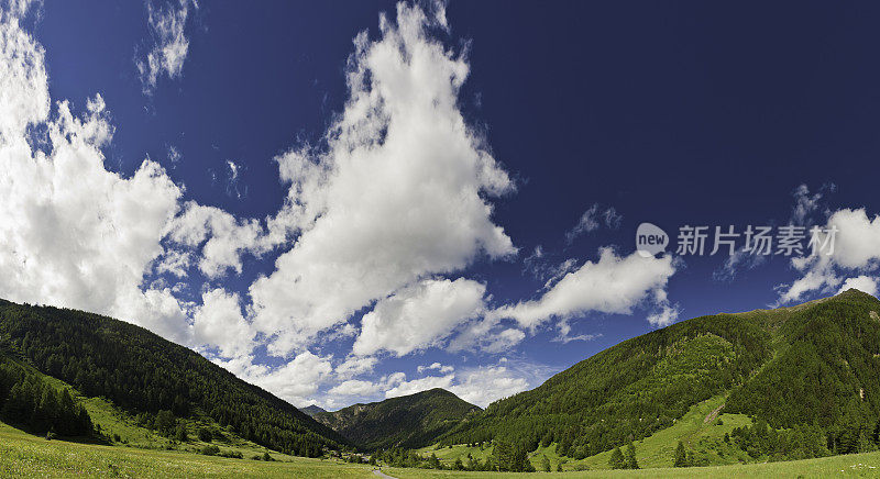 瑞士夏季高山野花草甸山脉全景