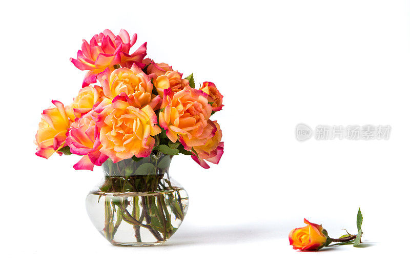 玻璃花瓶里的野玫瑰花束