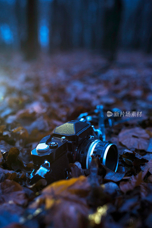 冬日黄昏，老式单反相机躺在枯叶上。
