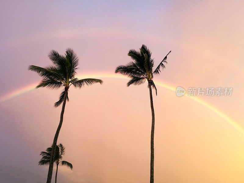 暴风雨过后，夏威夷考艾岛上出现了双彩虹和棕榈树