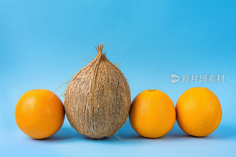 一排相同的橙子，一个单一的椰子在蓝色的背景。个性个性独特性概念。创造性的鼓舞人心的形象。本空间
