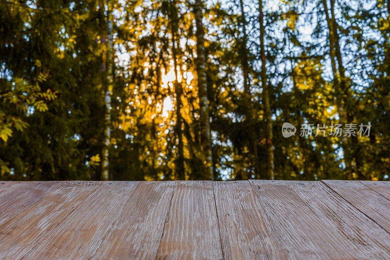 空旷的乡村木材桌面上模糊的森林背景和穿透阳光在夏天。可以蒙太奇或展示您的产品
