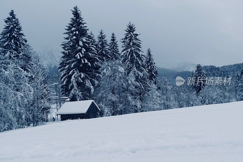 在欧洲阿尔卑斯山脉，冰雪覆盖的冬季景观和森林