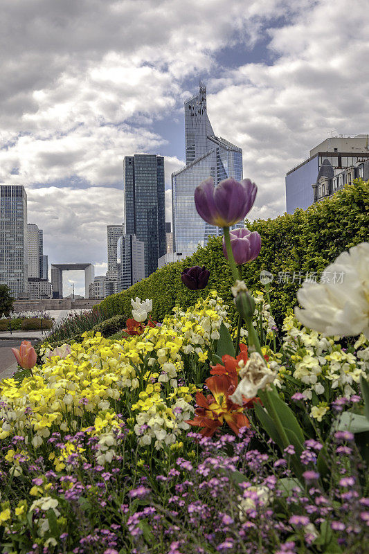 法国巴黎，花后的拉德芳斯春景