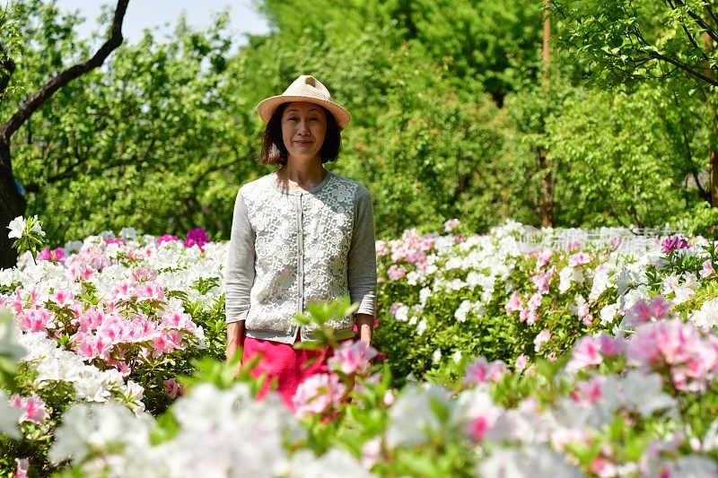 一个日本女人走在盛开的杜鹃花的公园里