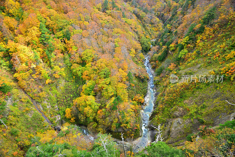 日本青森市日仓峡谷的秋色