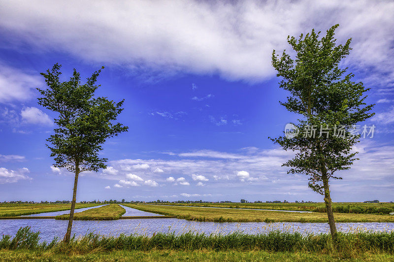 荷兰圩田的夏天(HDRi)