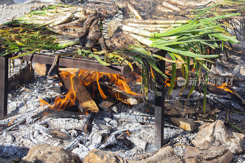 Calçots被烹饪-加泰罗尼亚的美食传统