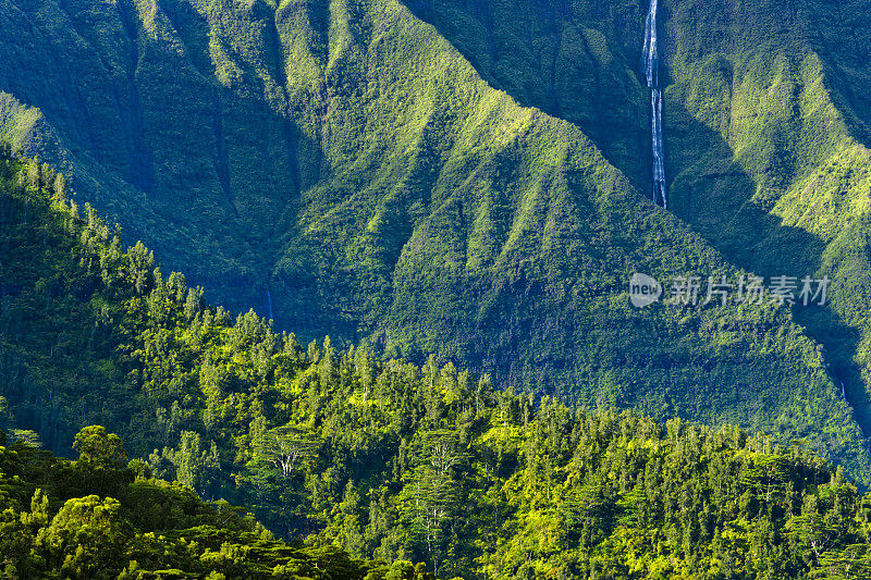 夏威夷考艾岛