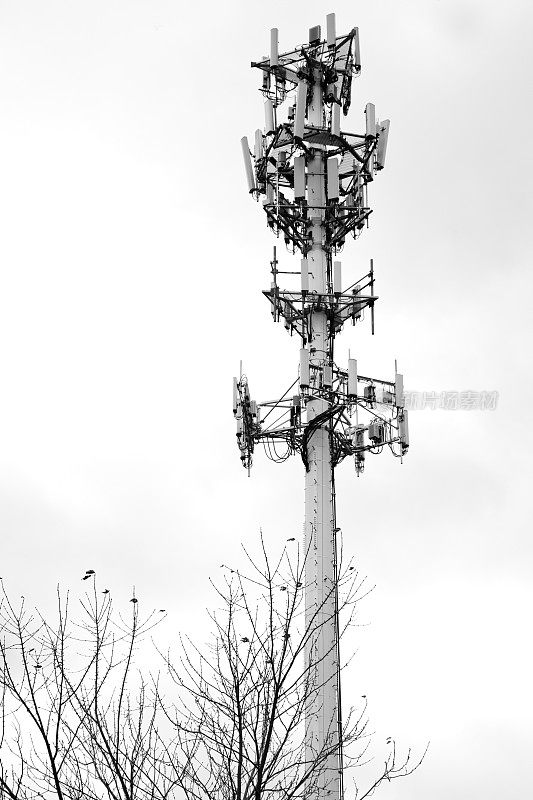 手机发射塔映衬着乌云密布的天空，黑白相间