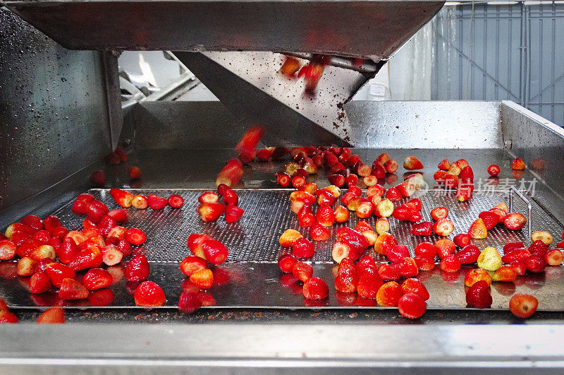 腌制草莓生产线