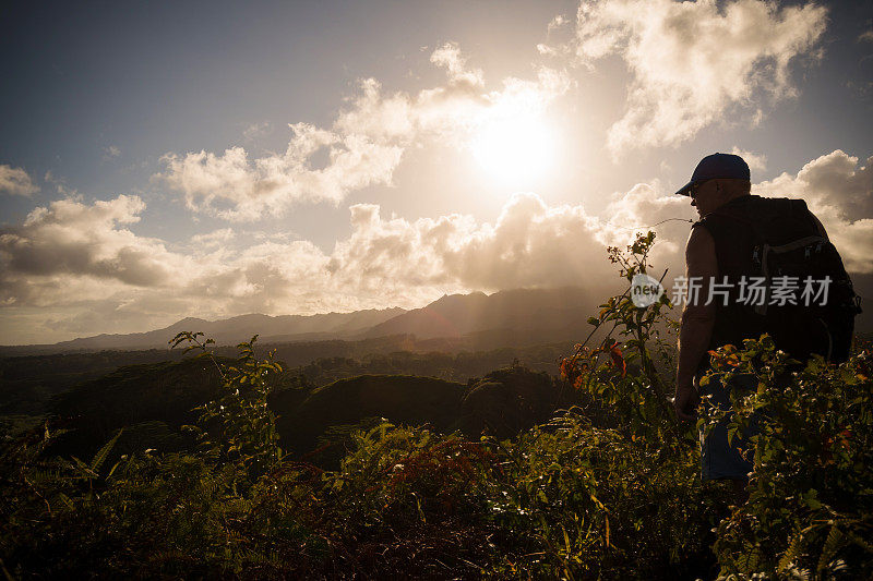 夏威夷考艾岛，游客欣赏郁郁葱葱的怀亚莱山