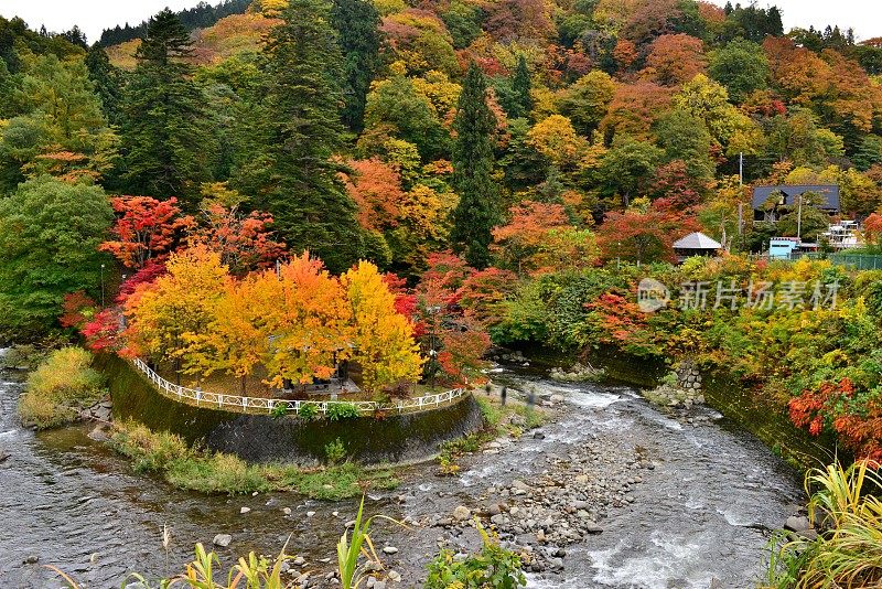 青森县黑石的中野百山公园秋叶