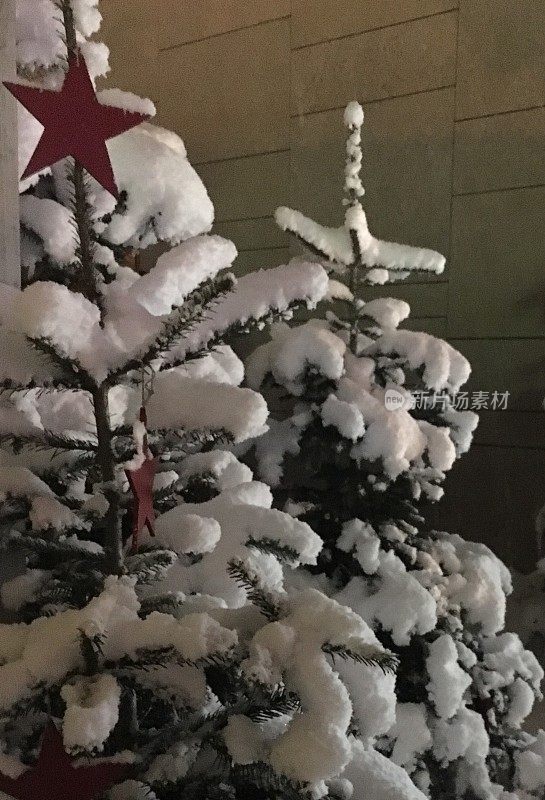 白雪覆盖的圣诞树