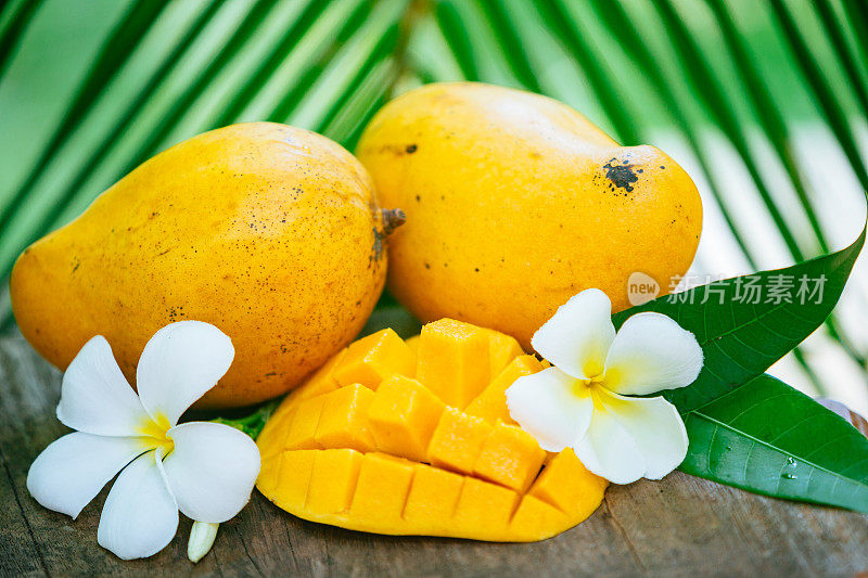 成熟的黄色芒果在棕榈叶的背景