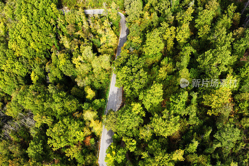 鸟瞰图的乡村道路基安蒂地区，托斯卡纳，意大利