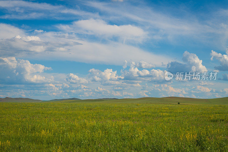 绿色的草地，蓝天和白云的背景