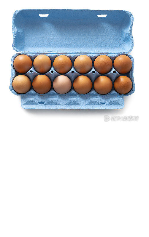棕色鸡蛋打，纸盒蓝色，单独放在白色