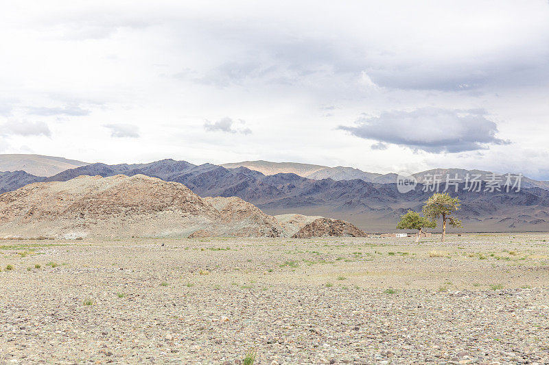蒙古景观。位于巴亚尔乌尔基的阿尔泰塔万博格德国家公园