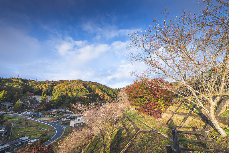 日本京都周边的乡村。