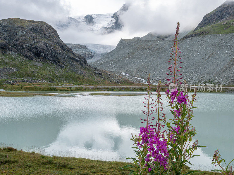 莫瑞湖和冰川，瓦莱州坎顿，瑞士