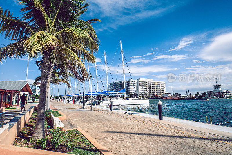 棕榈和码头步道在新码头在维拉德罗，古巴