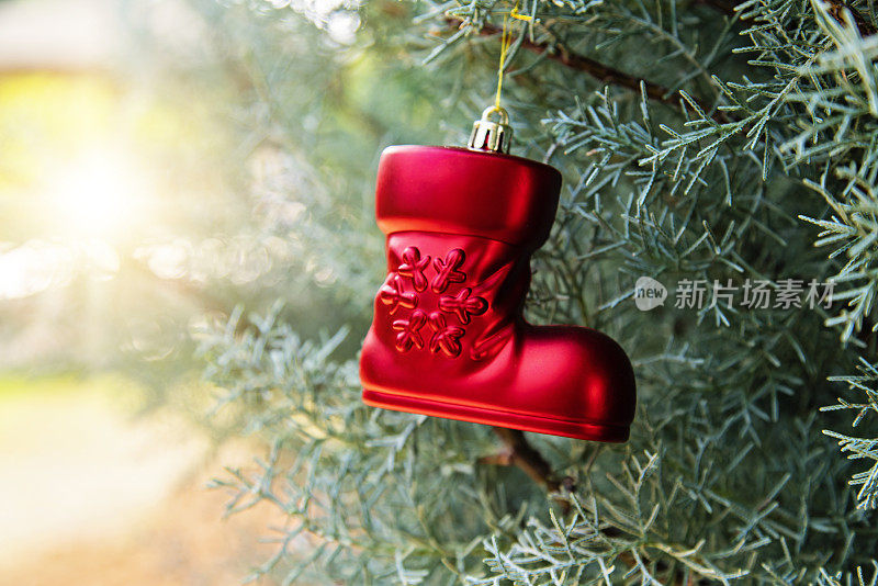 红靴子形状的圣诞小玩意挂在树上。