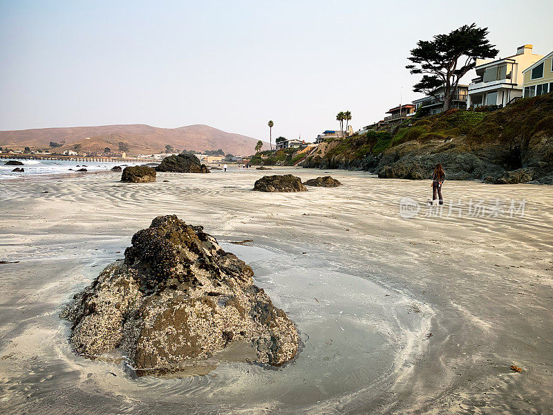 一名妇女沿着加州Cayucos海滩遛狗