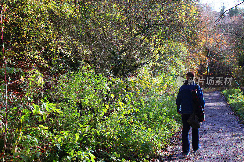 在秋天的阳光下，一个不知名的成熟男子走在阴凉的英国乡村林地小路上，昏暗的柏油马路，秋天彩色的树叶，光秃秃的树枝，冠状病毒封锁演练