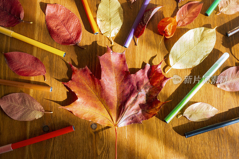 秋叶和彩色铅笔。flatley