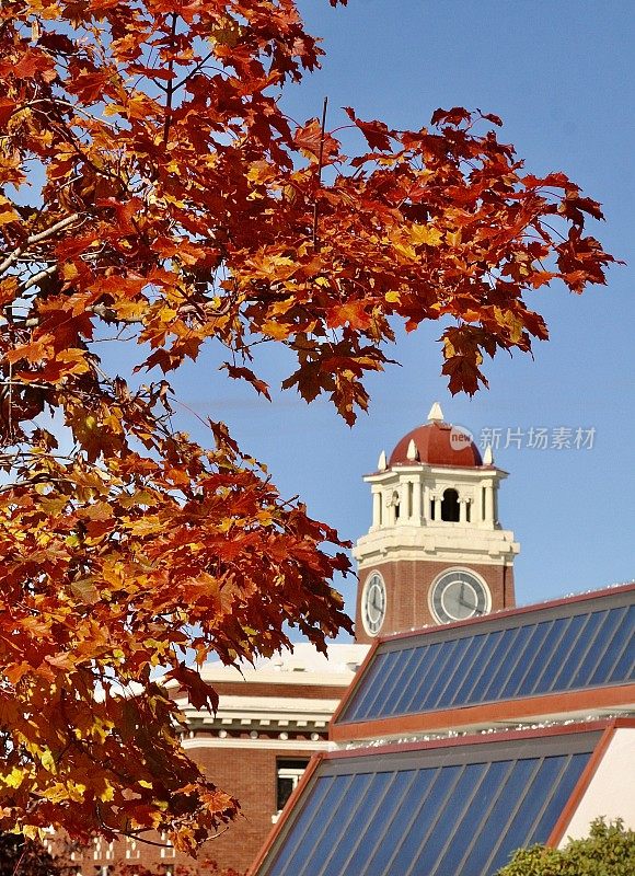 秋天的色彩和县钟楼