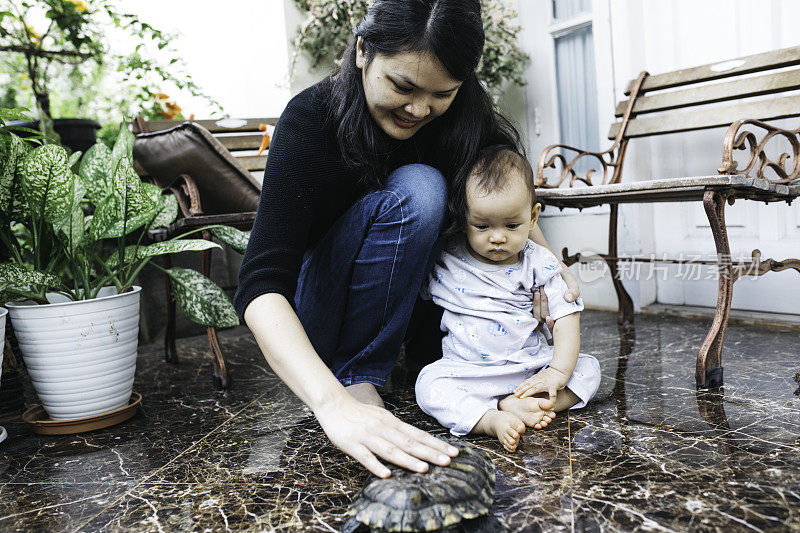 亚洲母亲和她的宝宝在家里抚摸他们的宠物在一天