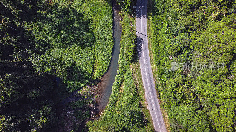 乡村公路和溪流，可伦宾山谷，黄金海岸，澳大利亚