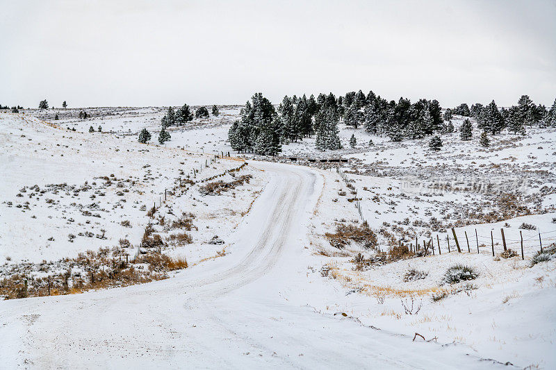 日落时分，蒙大拿山上的泥土路被白雪覆盖