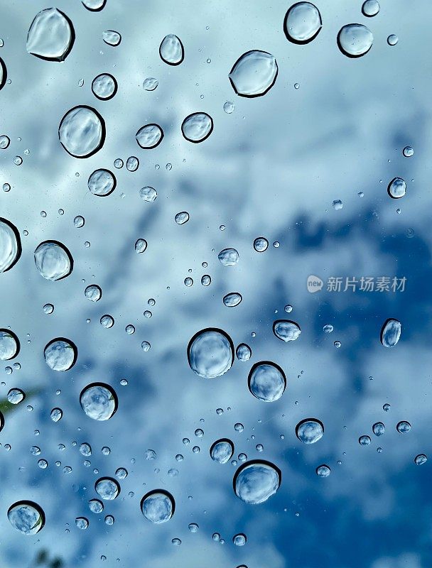 雨点，雨，冬天，寒冷，潮湿，蓝色，背景，特写