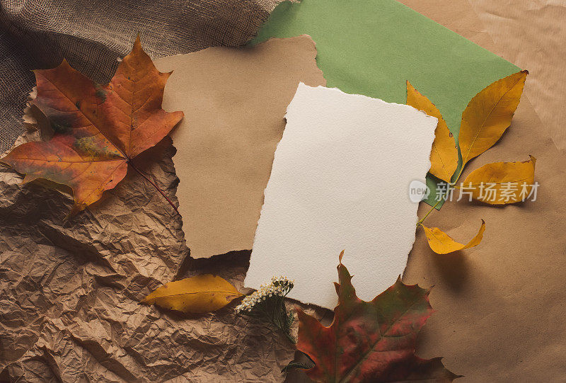秋日秋日平卧顶景构图。黄色的枫叶和白色的工艺自然棕色的纸。为文本留出空白复制空间的作文。对于海报、卡片