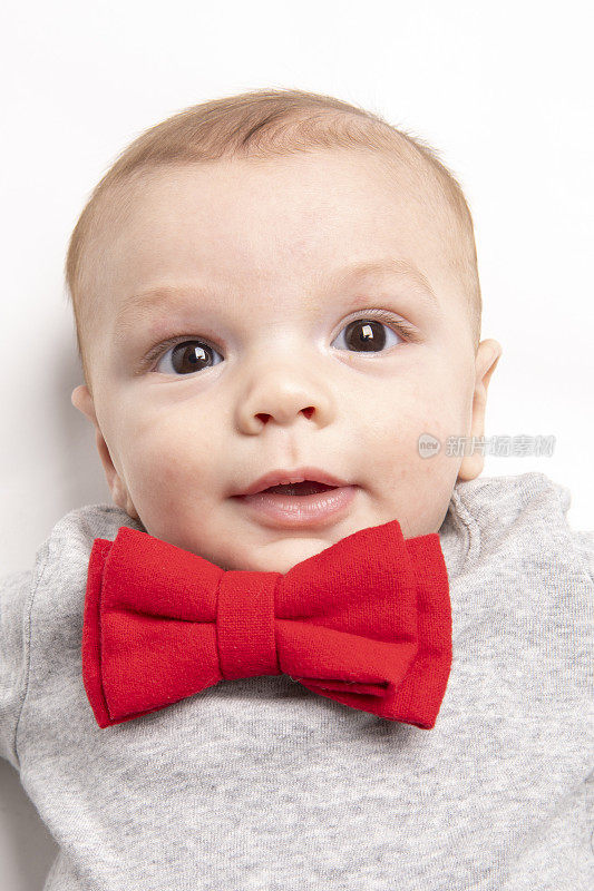 英俊的五个月大男孩，戴着大红色领结