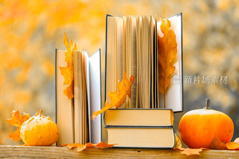 秋天主题阅读。在阳光的照耀下，秋天的花园里摆满了书籍和南瓜。开始学校和大学季的概念。书以秋天为主题。万圣节的书