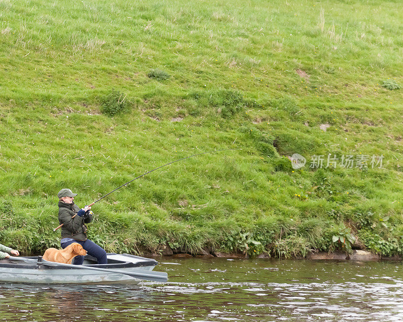 苏格兰粗呢河上，垂钓者女士正在钓她的第一条鲑鱼