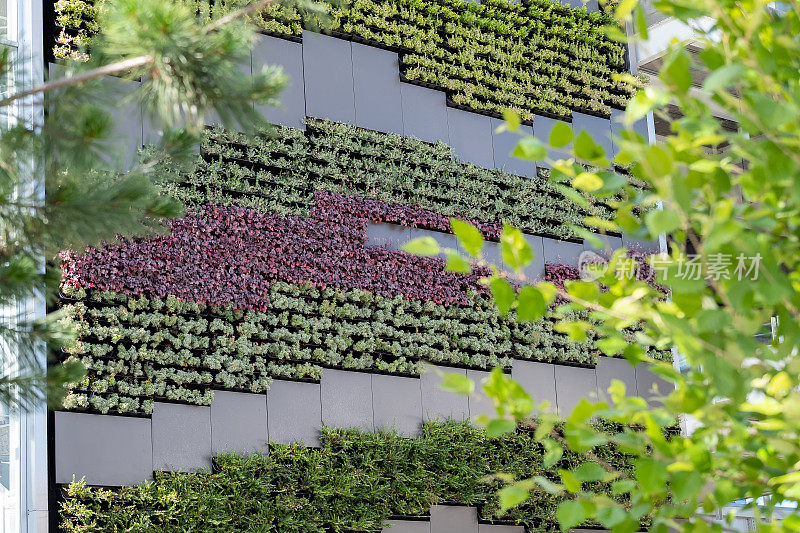 绿色生活墙，机场轻轨站现代垂直花园