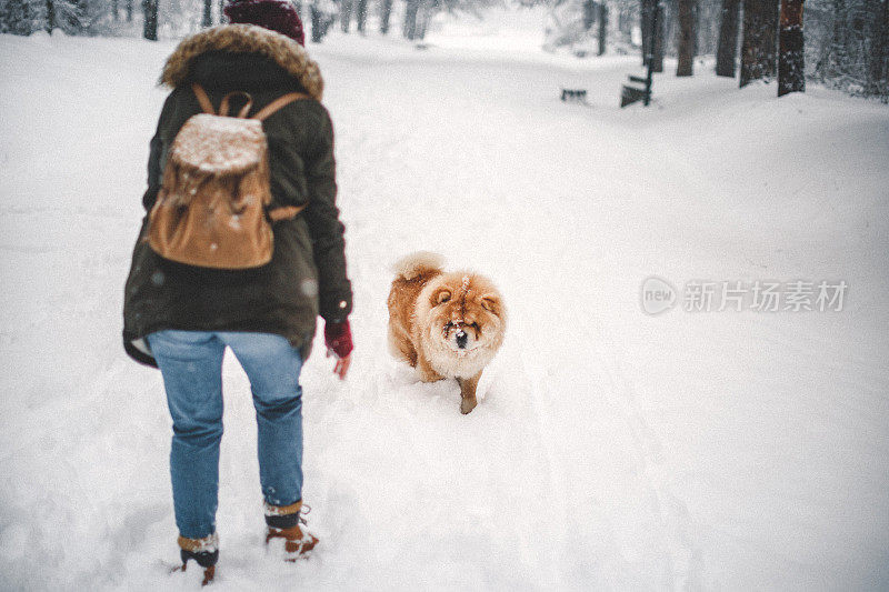 雪中的女孩和她的狗